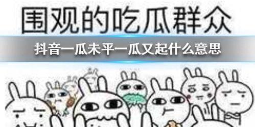 抖音吃瓜28年,见证娱乐圈风云变幻