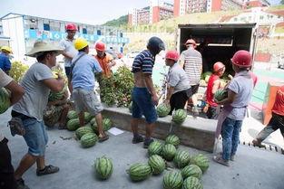 吃瓜助力骗局曝光,警惕网络诈骗新花样