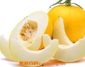 吃伊丽莎白瓜沙嘴,伊丽莎白瓜的甜蜜诱惑