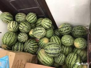 吃瓜群440,一场网络热议背后的故事