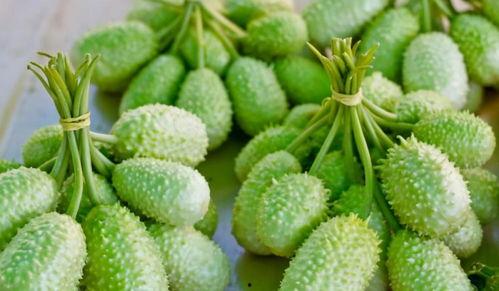 世瓜怎么吃,解锁美味新境界