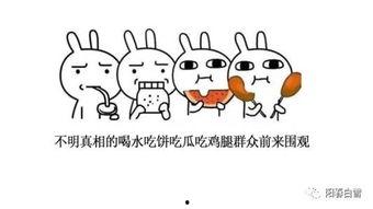 是会吃货的抬瓜,探寻美食的奇妙之旅