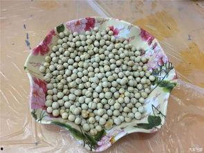 自驾团吃瓜,一场舌尖上的旅行狂欢