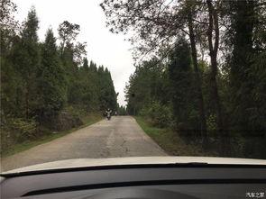 自驾团吃瓜,一场舌尖上的旅行狂欢