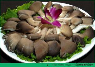 骨折可以吃高瓜吗,高瓜助力骨骼愈合