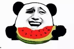 法师吃瓜,揭秘神秘世界背后的八卦风云