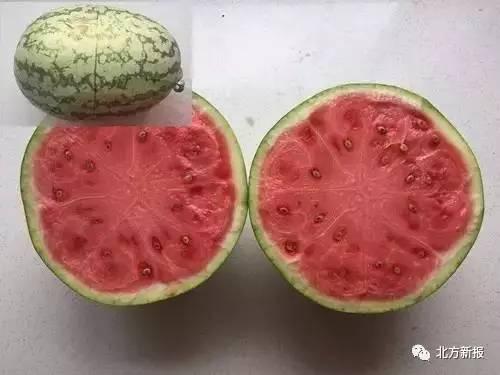 留学法国吃瓜,留学生活中的“吃瓜”趣闻