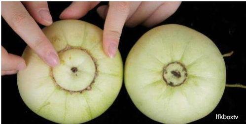 吃白皮瓜拉肚子,揭秘夏日消暑美食背后的健康隐患