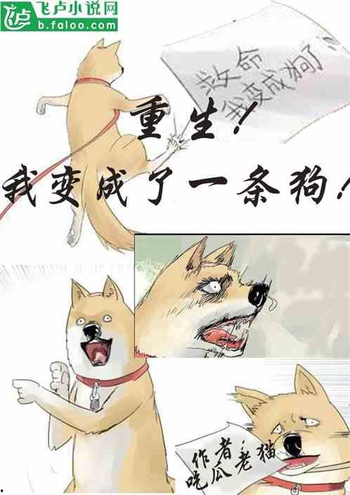 吃瓜转运小说,穿越时空的甜蜜转运之旅