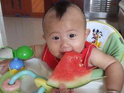 豆豆吃瓜啥意思