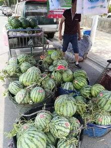 白沟装饰吃瓜事件