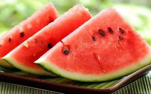 夏季吃瓜模板,缤纷瓜果盛宴,尽享清凉一夏
