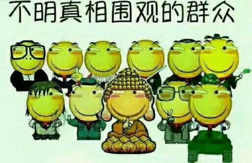 在线吃瓜群众233,吃瓜群众热议“233”现象背后的故事