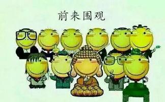 那些话 吃瓜,那些让人吃瓜不止的幕后故事